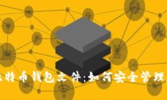 标题: 全面解析比特币钱包