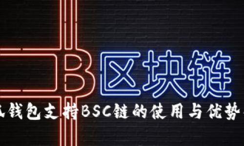 小狐钱包支持BSC链的使用与优势解析