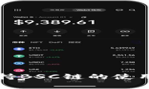 小狐钱包支持BSC链的使用与优势解析