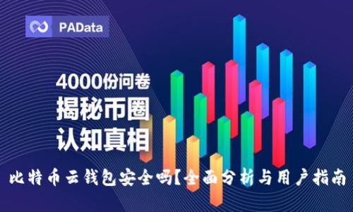 比特币云钱包安全吗？全面分析与用户指南