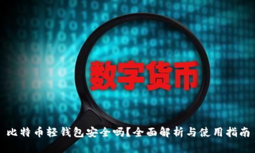 比特币轻钱包安全吗？全面解析与使用指南