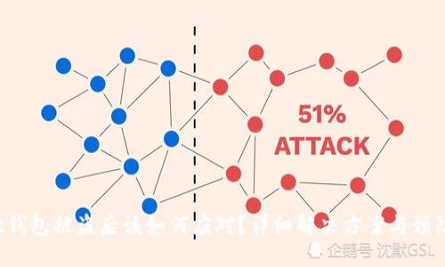 Trust钱包被盗后该如何应对？详细解决方案与预防措施