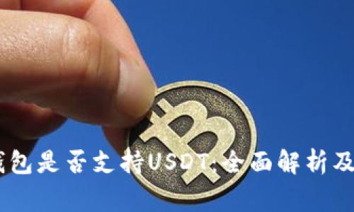 Ledger钱包是否支持USDT：全面解析及使用指南