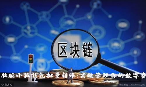 电脑版小狐钱包批量转账：高效管理你的数字资产