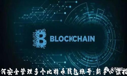 
如何安全管理多个比特币钱包账号：新手必读指南