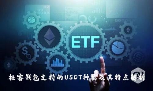 极客钱包支持的USDT种类及其特点解析