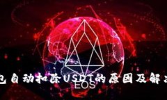 TP钱包自动扣除USDT的原因及解决方法