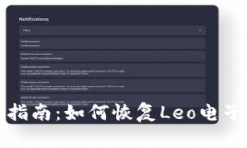 全面指南：如何恢复Leo电子钱包