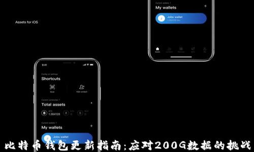
比特币钱包更新指南：应对200G数据的挑战