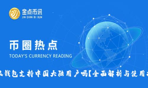 小狐钱包支持中国大陆用户吗？全面解析与使用指南