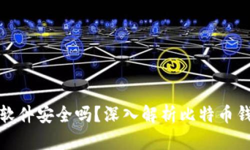 比特币钱包软件安全吗？深入解析比特币钱包的安全性