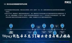 TOpay钱包币不见了？解决方