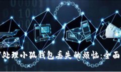 如何处理小狐钱包丢失的