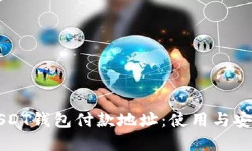 详解USDT钱包付款地址：使用与安全指南