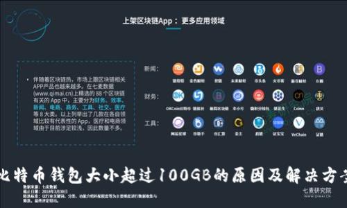 比特币钱包大小超过100GB的原因及解决方案