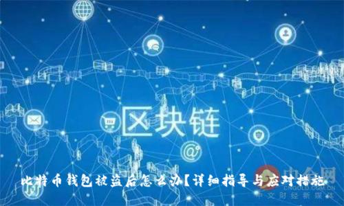 比特币钱包被盗后怎么办？详细指导与应对措施