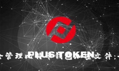 如何安全管理比特币钱包加密文件：全面指南