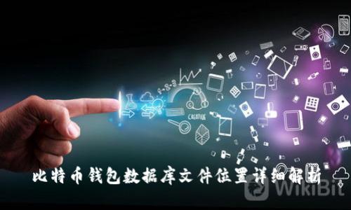 比特币钱包数据库文件位置详细解析