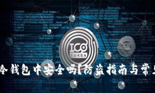 USDT放在冷钱包中安全吗？防盗指南与常见问题解答