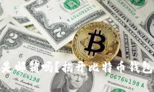 比特币钱包是邮箱吗？揭开比特币钱包的真实面貌