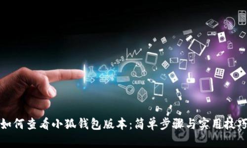 如何查看小狐钱包版本：简单步骤与实用技巧