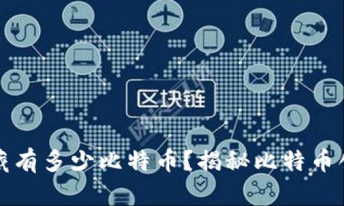 中本聪钱包究竟藏有多少比特币？揭秘比特币创始人的财富之谜