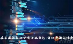 如何在苹果设备上下载小