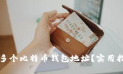 如何管理多个比特币钱包