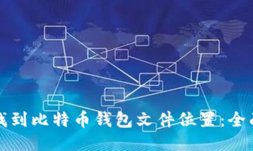 如何找到比特币钱包文件位置：全面指南