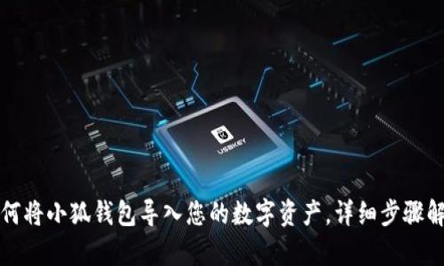 如何将小狐钱包导入您的数字资产，详细步骤解析