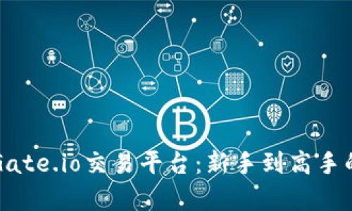 全面解析Gate.io交易平台：新手到高手的交易指引