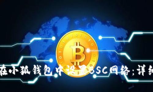 如何在小狐钱包中设置BSC网络：详细指南