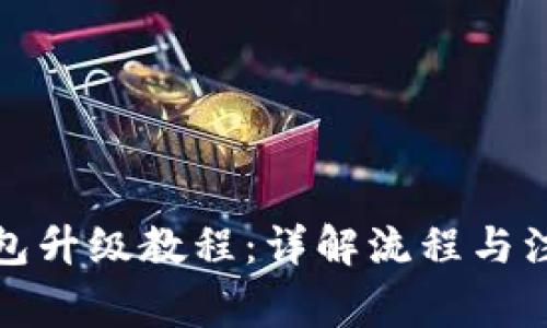 小狐钱包升级教程：详解流程与注意事项