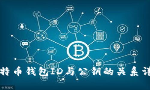 比特币钱包ID与公钥的关系详解