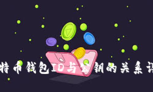 比特币钱包ID与公钥的关系详解