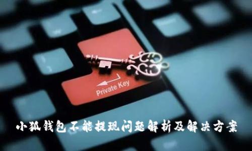 小狐钱包不能提现问题解析及解决方案