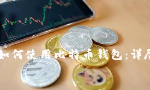

    如何使用比特币钱包：详尽指南


    如何使用比特币钱包：详尽指南