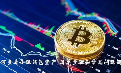 如何查看小狐钱包资产：简单步骤和常见问题解析
