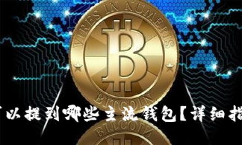 SHIB币可以提到哪些主流钱包？详细指南与推荐