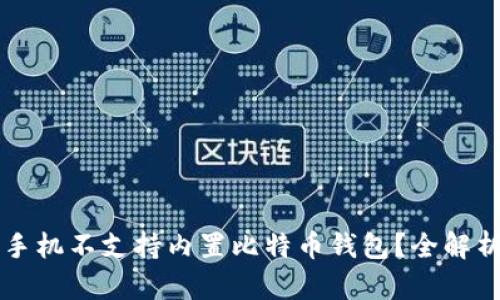 为什么苹果手机不支持内置比特币钱包？全解析及替代方案
