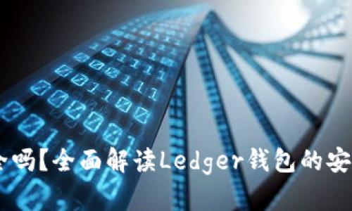 Ledger钱包安全吗？全面解读Ledger钱包的安全性与使用指南