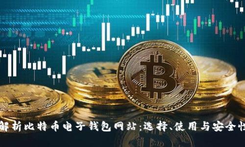 全面解析比特币电子钱包网站：选择、使用与安全性指南