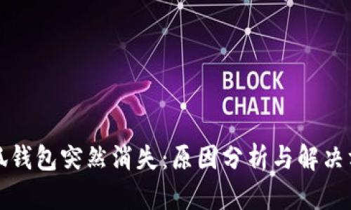 小狐钱包突然消失：原因分析与解决方案
