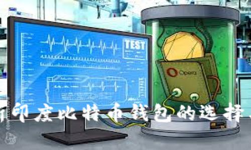 全面解析印度比特币钱包的选择与安全性