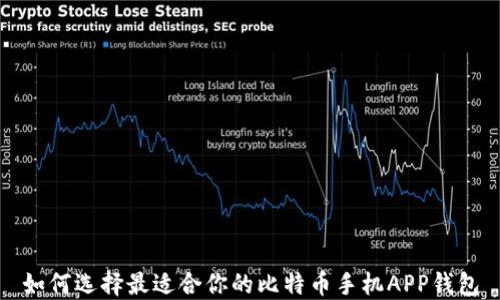
如何选择最适合你的比特币手机APP钱包