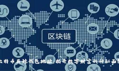 比特币巨鲸钱包地址：揭开数字财富的神秘面纱