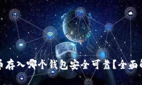 屎币存入哪个钱包安全可靠？全面解析