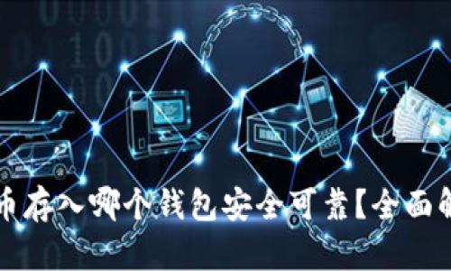 屎币存入哪个钱包安全可靠？全面解析