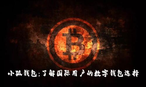 小狐钱包：了解国际用户的数字钱包选择