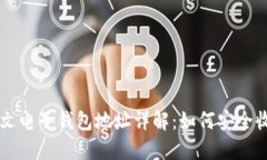 比特币中文电子钱包地址详解：如何安全收发比